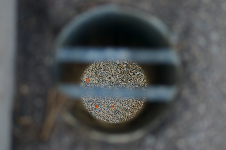drain