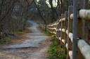 fence
