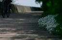 boardwalk