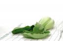 bok choy