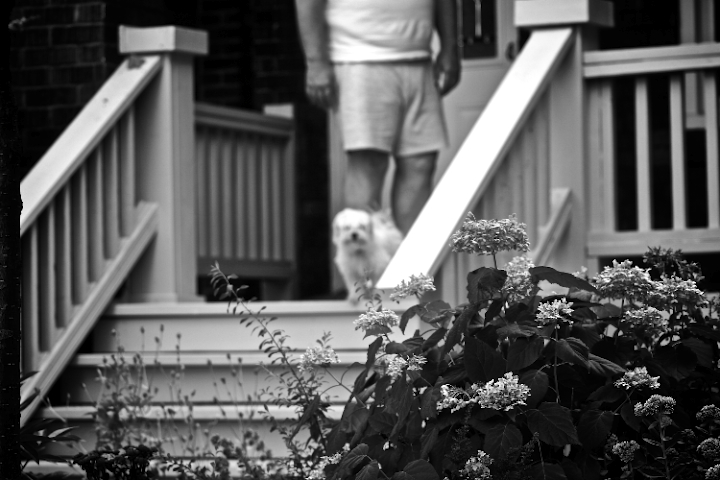 molly