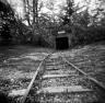 Kevin Charlie - train+tracks
