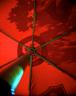 Kevin Charlie - red+umbrella