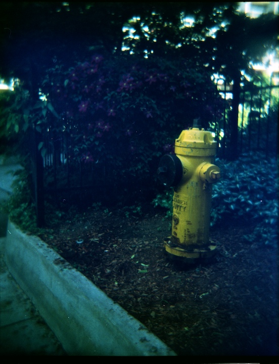 Kevin Charlie - yellow+hydrant