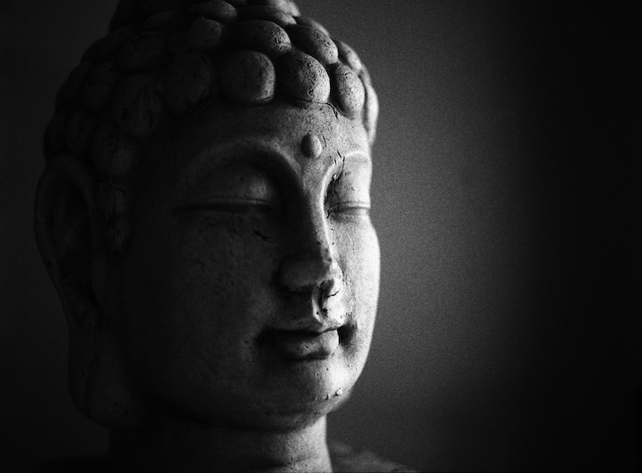 bust