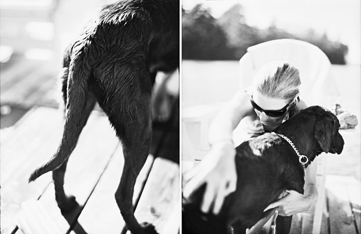 dog days of summer
